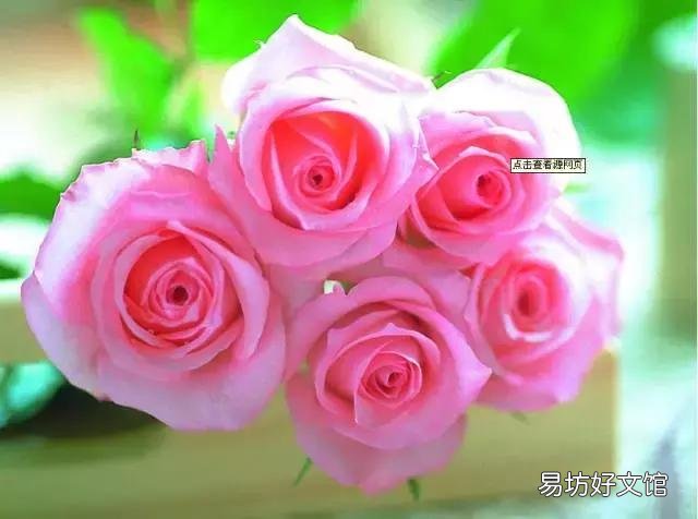 世界上什么花最香？