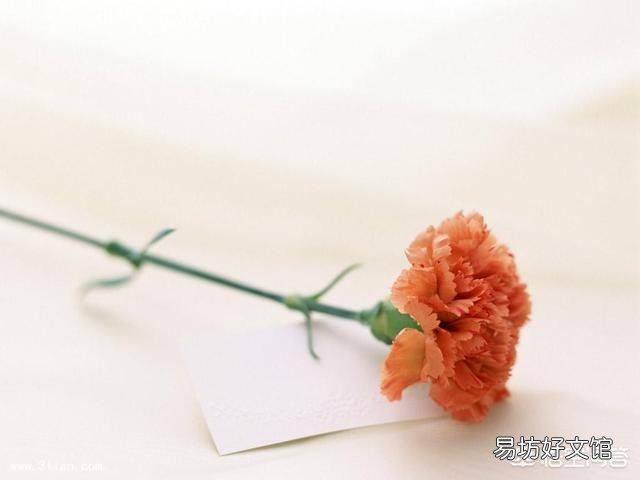 世界上什么花最香？