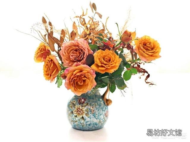 盆栽玫瑰花叶子软了怎样补救?