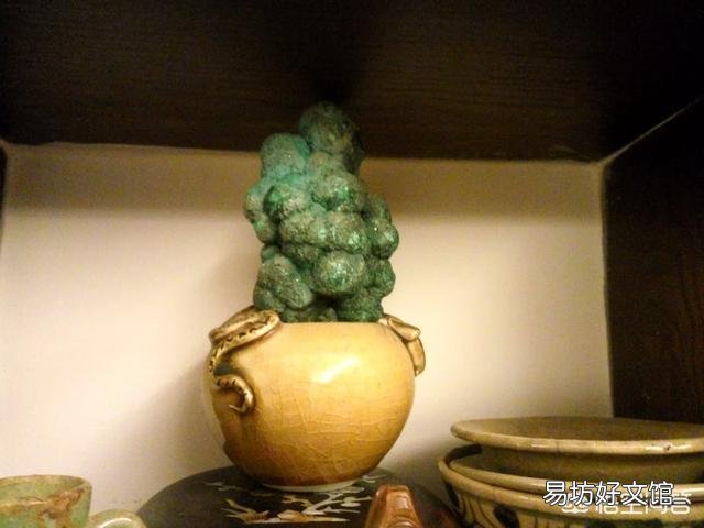 茶花开到一半就蔫了怎么办?