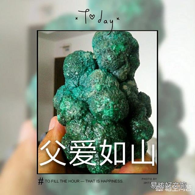 茶花开到一半就蔫了怎么办?