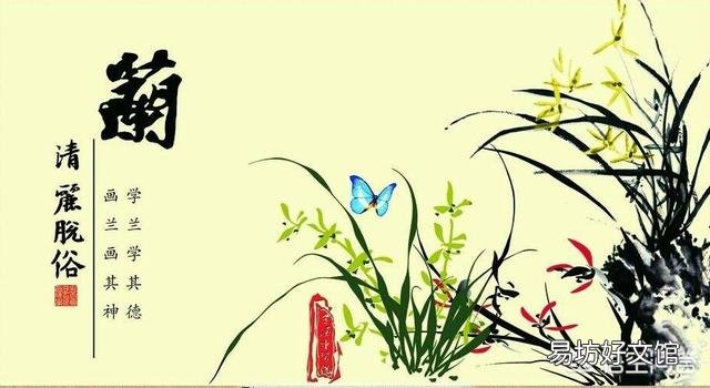 这花是什么花？