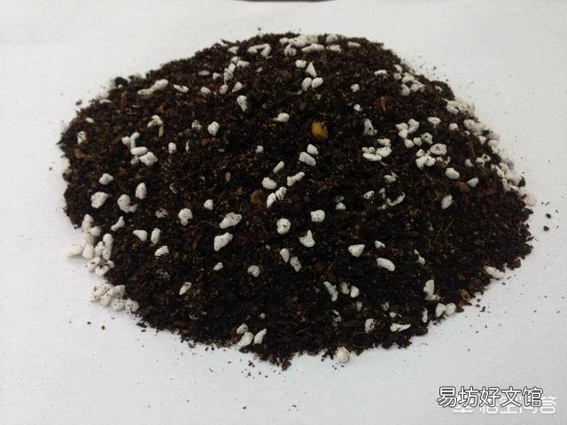 给植物换盆的条件是什么?