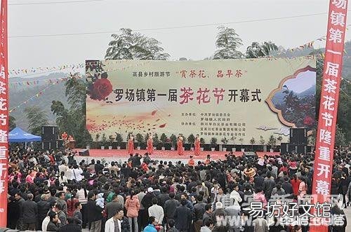 茶花开完花后不久就掉花朵是咋回事？