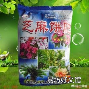 一盆板结的土，如何让它可以种花？