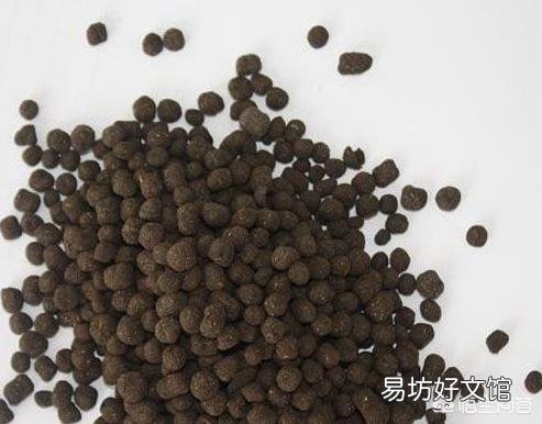 一盆板结的土，如何让它可以种花？