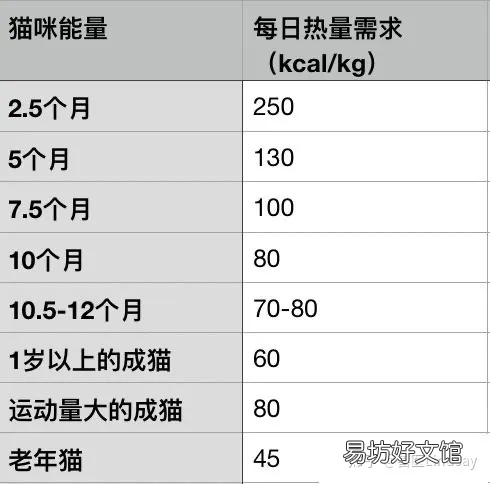 猫咪体重年龄对照表(英短猫咪体重年龄对照表)