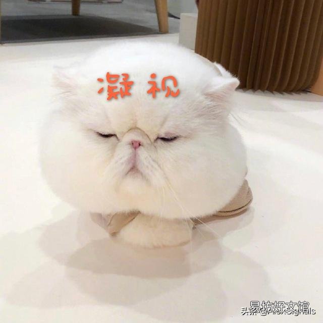 顴骨寬適合什么樣的發型？