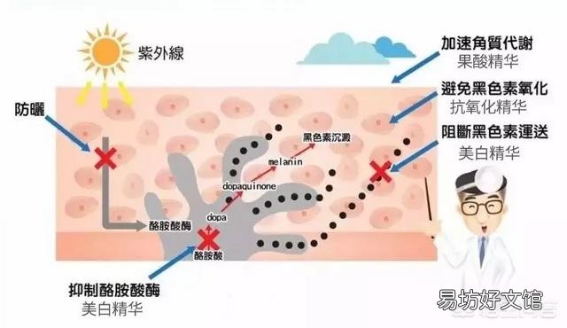 夏天到了,有哪些护肤的方法呢?