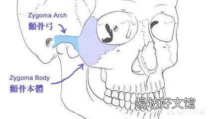自己的脸型不好看,线条不流畅,显得很刻薄,应该怎么改善?