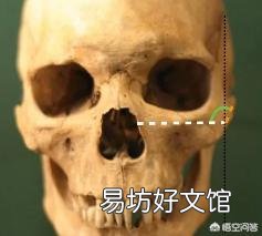 自己的脸型不好看,线条不流畅,显得很刻薄,应该怎么改善?