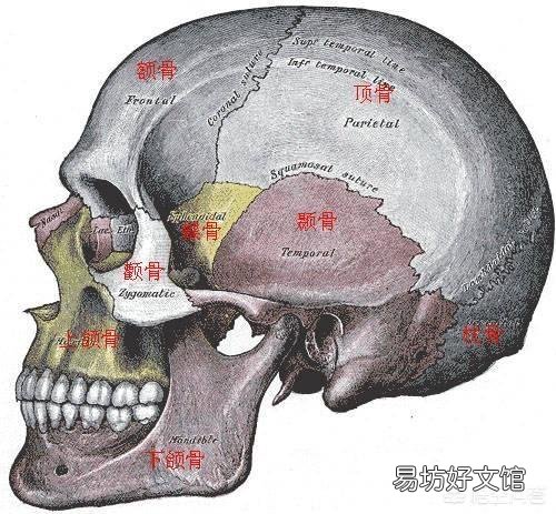 自己的脸型不好看,线条不流畅,显得很刻薄,应该怎么改善?