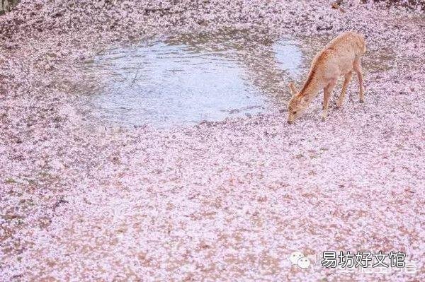 如何在春季里把粉色单品穿出新潮流还容易招桃花运?