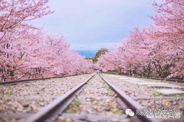 如何在春季里把粉色单品穿出新潮流还容易招桃花运?