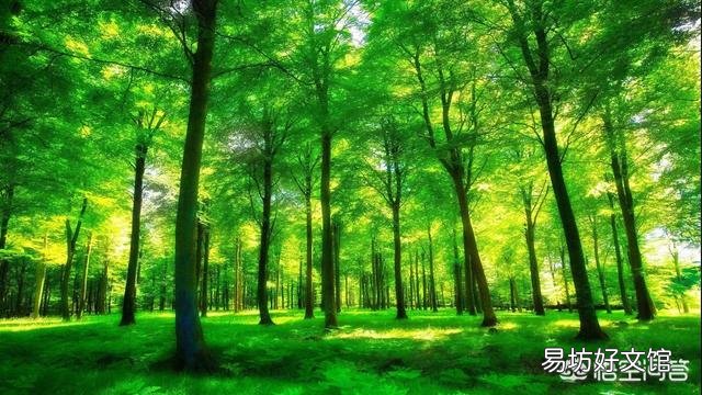 夏至就到了,农村俗语“夏至五月中,多雨又多风”什么意思?