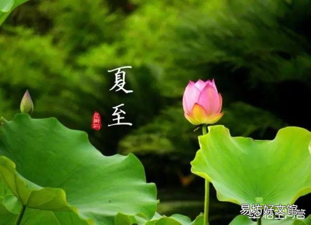 夏至就到了,农村俗语“夏至五月中,多雨又多风”什么意思?