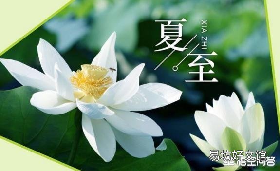夏至就到了,农村俗语“夏至五月中,多雨又多风”什么意思?
