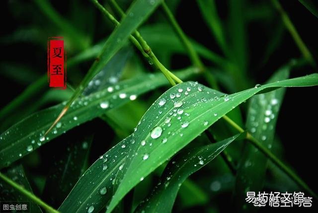 夏至就到了,农村俗语“夏至五月中,多雨又多风”什么意思?