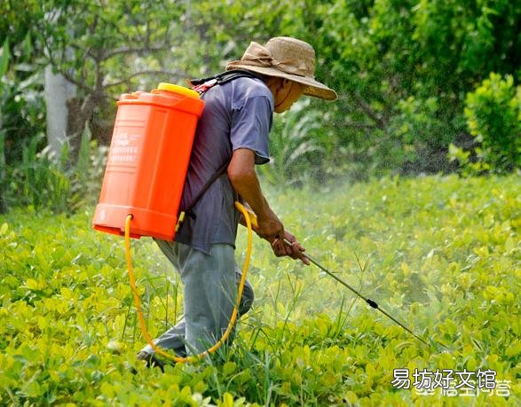 农民常用到的农药有没有保质期？过期的农药能加大药量继续使用吗？