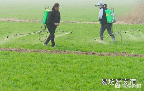 农民常用到的农药有没有保质期？过期的农药能加大药量继续使用吗？