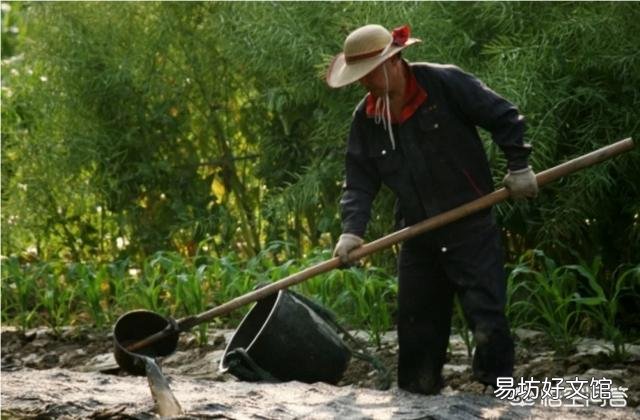 韭菜多少天割一茬比较好?
