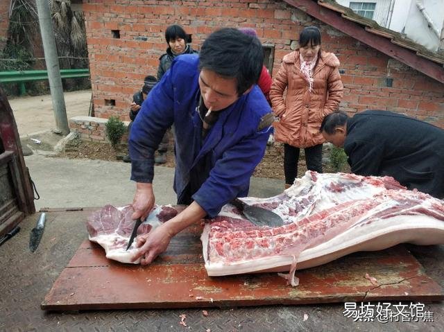 在农村人们杀猪为何总会保留猪苦胆?猪苦胆有什么用?