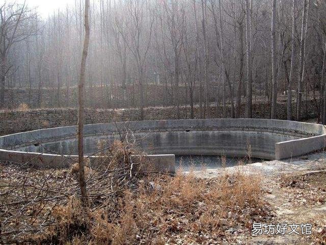 为什么高山上蓄着水的水泥池子里时间长了会有鱼?
