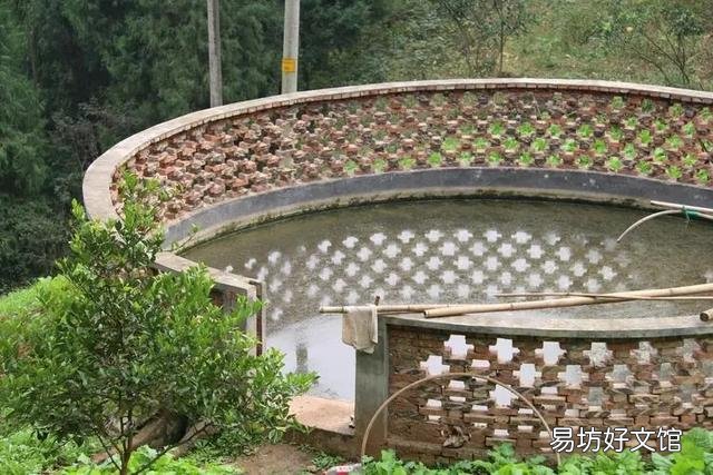 为什么高山上蓄着水的水泥池子里时间长了会有鱼?