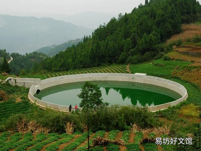为什么高山上蓄着水的水泥池子里时间长了会有鱼?