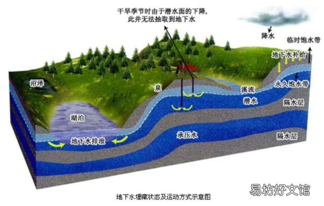 为什么高山上蓄着水的水泥池子里时间长了会有鱼?