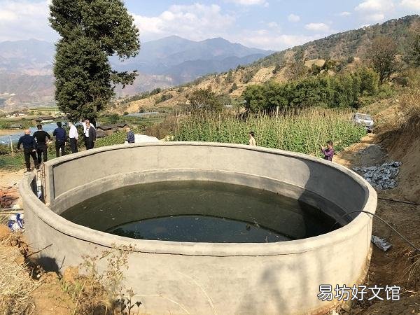 为什么高山上蓄着水的水泥池子里时间长了会有鱼?