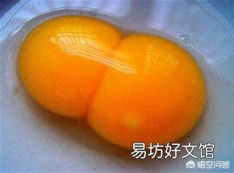 母鸡下的双黄蛋真的能孵出两只小鸡吗?双黄蛋是不是更有营养?
