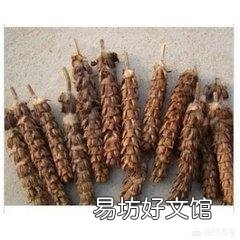 农村常见的夏枯草，有什么药用价值？