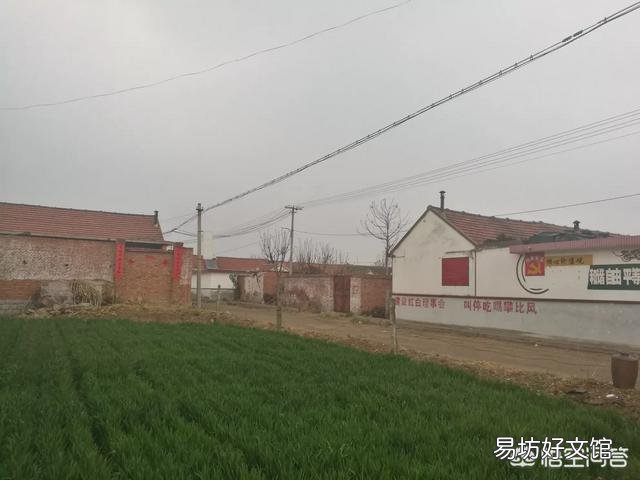 在农村种植时，下雨时撒肥料有什么好处？