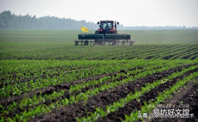 在农村种植时，下雨时撒肥料有什么好处？