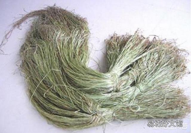 有哪些古代农作物目前已经不再种植了?
