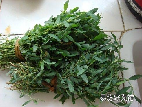 除了吃粽子,你的家乡还有哪些端午习俗?