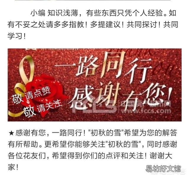 葡萄怎样插扦呢?