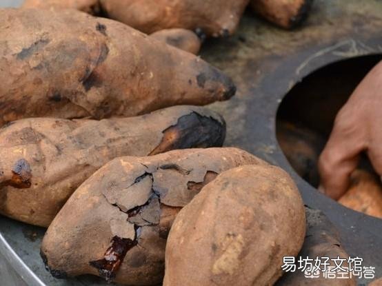 农村人种植红薯,都有哪些吃法?