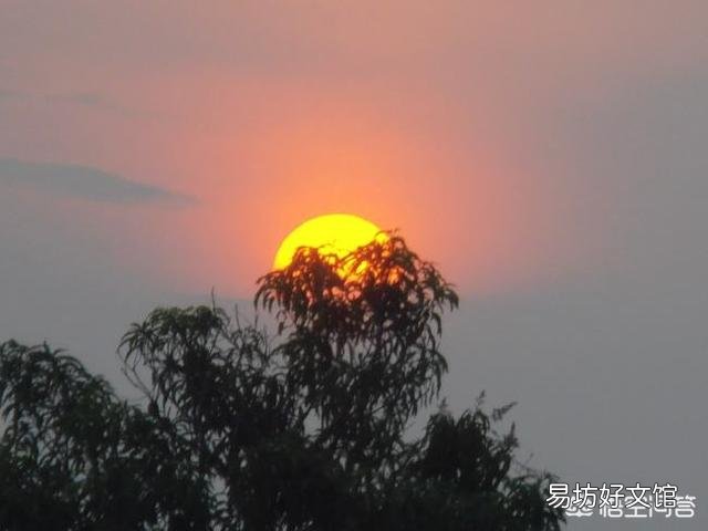 为什么现在在好多夫妻结婚好多年都没有生小孩子?