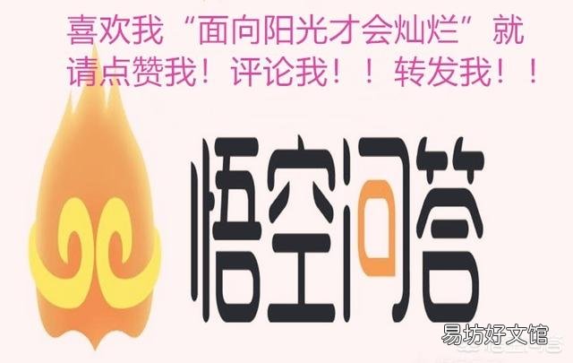 制造女性性爱机器人的公司又要造男版了，这样的机器人你会要吗？