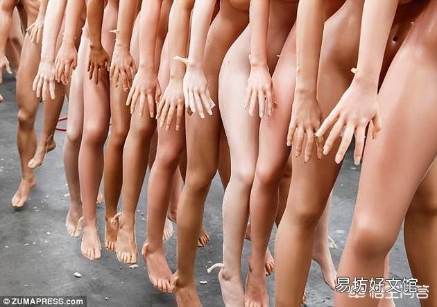 制造女性性爱机器人的公司又要造男版了，这样的机器人你会要吗？