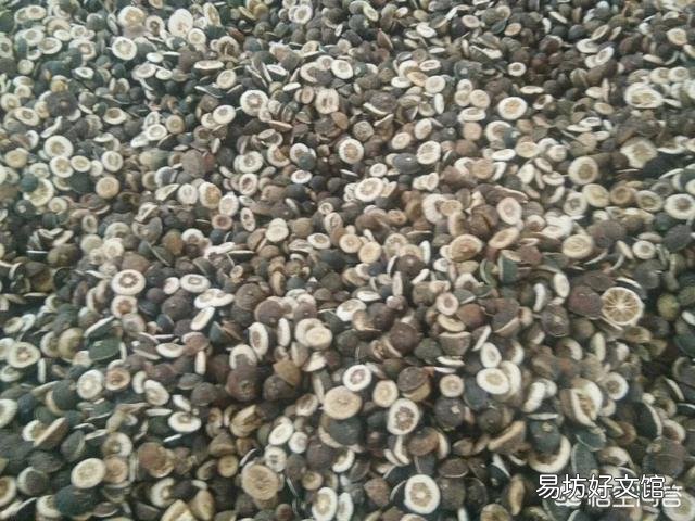 农村经常见收落果的小贩，他们将落果最终卖到哪里去了？