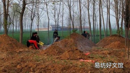 农村俗语“不吃月子奶,不打瞎骂哑”到底是什么意思?为什么?
