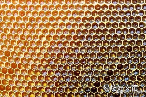 马蜂窝泡酒喝能治疗类风湿可信吗？