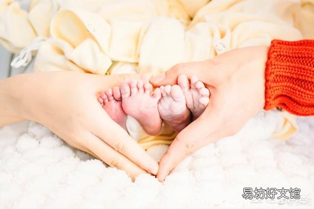 你怎么看谢娜医院生产,张杰包下一整层?