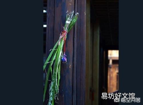 农村老人说：端午节的艾草有两不挂。你知道是哪两不挂吗？为什么？