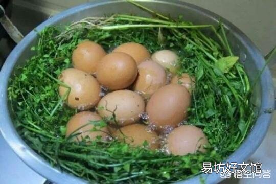 农村老人说：端午节的艾草有两不挂。你知道是哪两不挂吗？为什么？