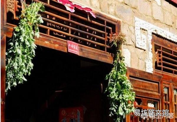 农村老人说：端午节的艾草有两不挂。你知道是哪两不挂吗？为什么？