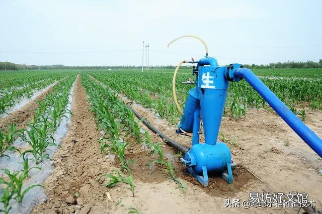 水肥一体化 哪些农作物适合安装滴灌?